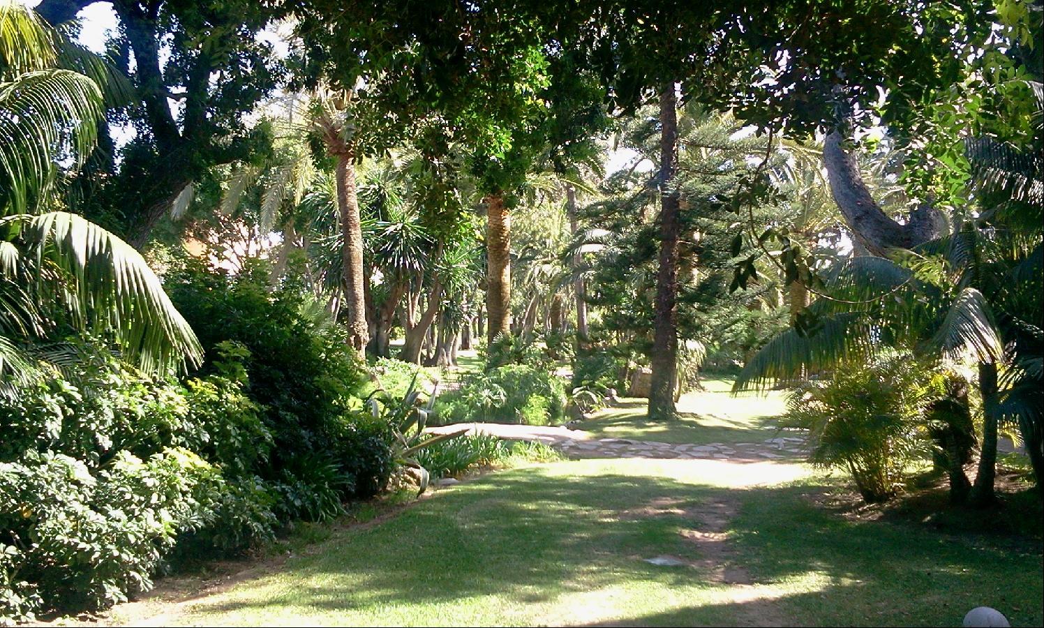 Don Carlos Resort&spa Hotel 5*